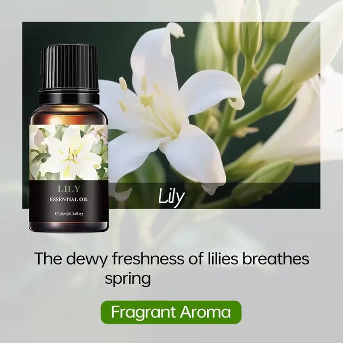 15 Huiles Parfumées Solubles dans l'Eau - Huile d'Aromathérapie 10ml pour Diffuseur