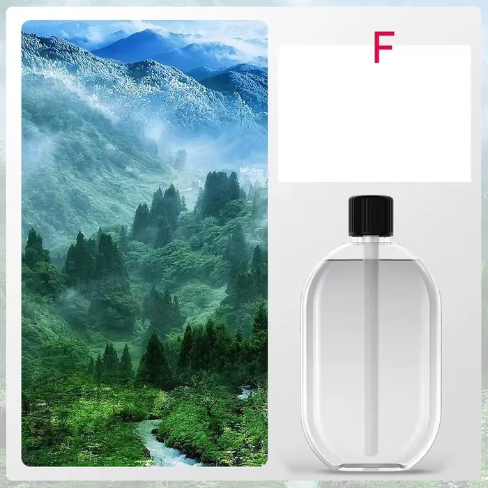 Diffuseur de parfum automatique, diffuseur d'huile essentielle alimenté par USB avec pulvérisation e