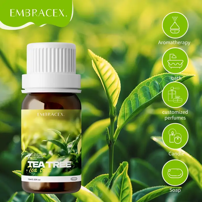 Huile d'arbre à thé pour l'aromathérapie, bougies DIY, huiles essentielles naturelles d'arbre à thé 