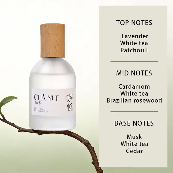 Parfum unisexe au thé blanc de niche, marque originale, parfum pur, léger et durable, fragrance neut