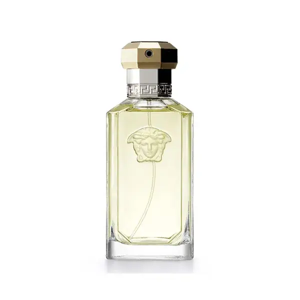 Versace The Dreamer Eau de Toilette Vaporisateur 100ml