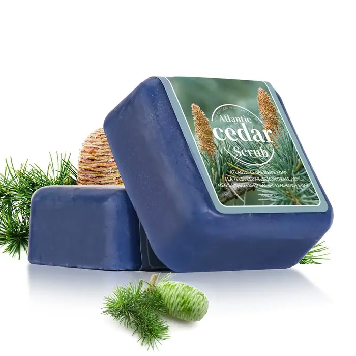 Savon à l'huile essentielle de cèdre pour hommes, savon de voyage portable pour hôtel, nettoyage en