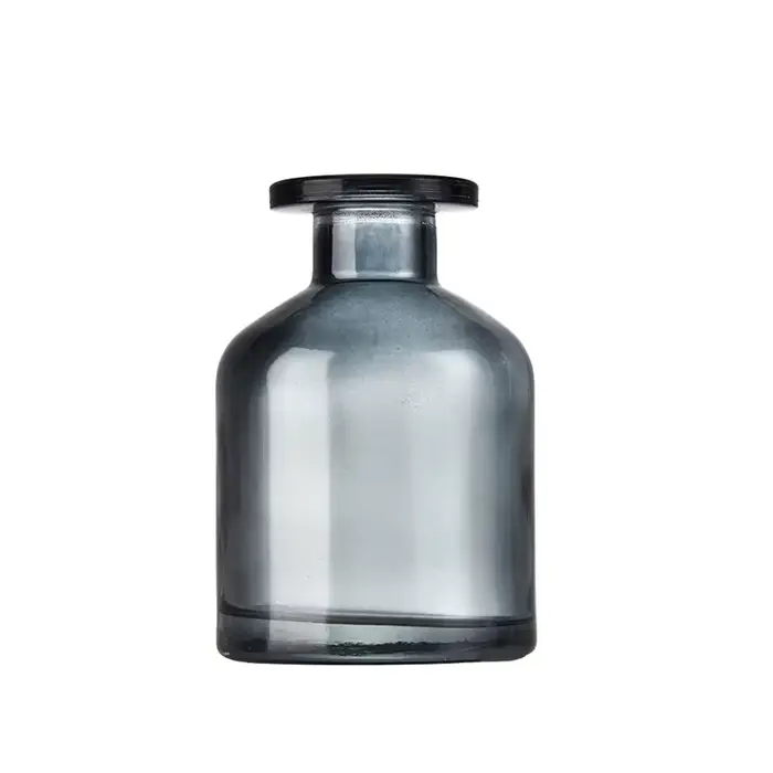 Bouteille Diffuseur de sexuellement pour la Maison, Récipient en Verre, Diffuseur d'Huile Essentielle, Bâtonnets, Cadeaux de ix, 50ml, 1 Pièce