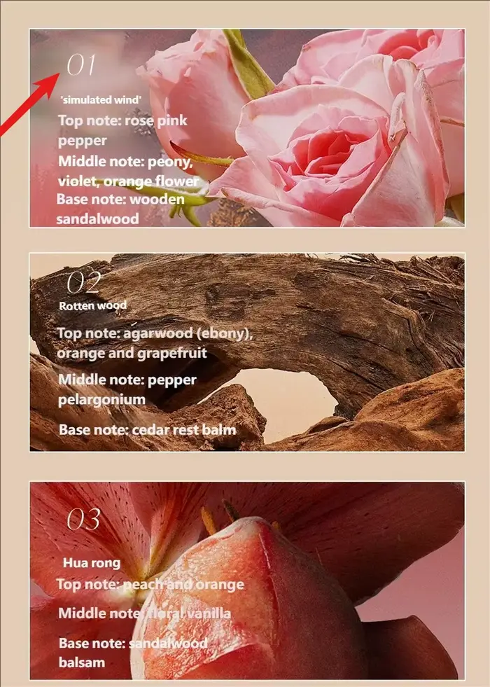 Nouveau Stick de Parfum Solide en Boîte