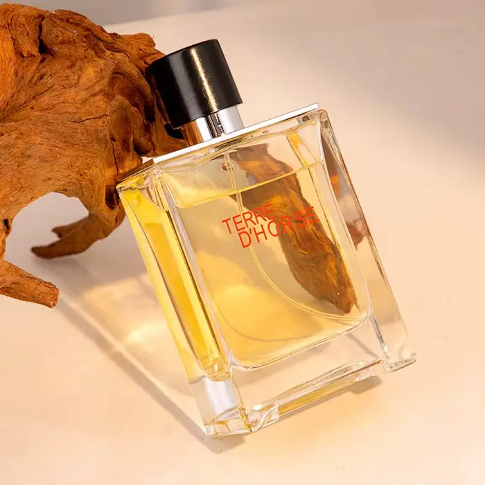 Eau de Cologne pour homme Fresh Energetic Spicy Fougere 50ml/100ml | Boisé Terreux | Parfum longue durée