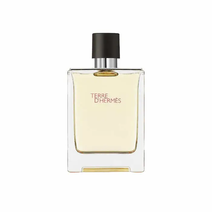 Hermes Terre D'Hermes Eau De Toilette Vaporisateur 100ml