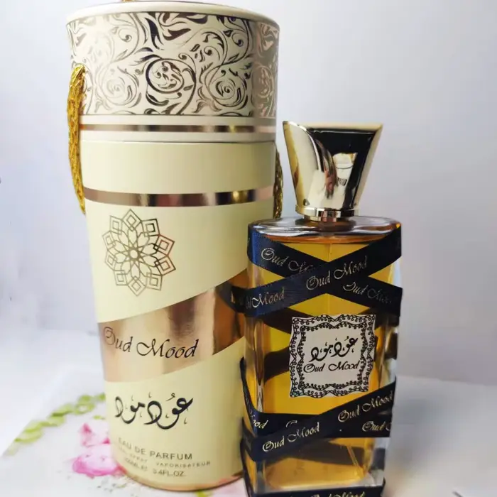Parfum en baril de 100ml, produits de luxe arabes suisses, huile de parfum personnelle longue durée 