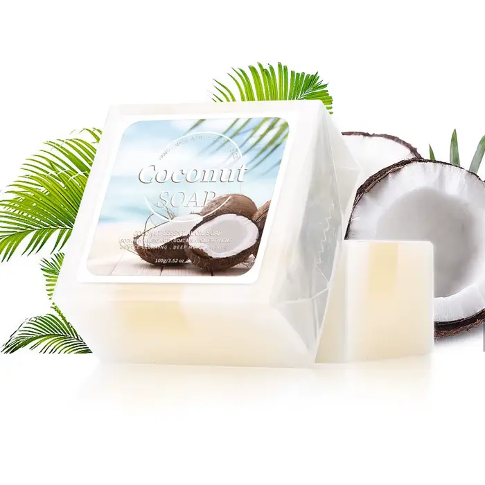 100g B + lait de coco bio pur extrait de plante savon fait main traitement du visage acné savon au l