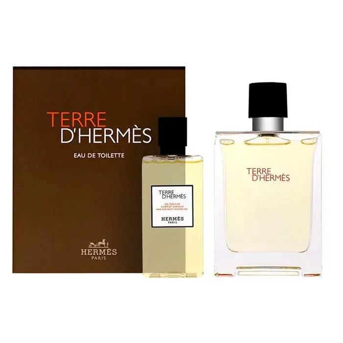 Hermès Terre D´Hermes Eau De Toilette Vaporisateur 100ml Coffret 2 Produits